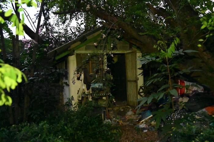 เก็บศพเมีย เก็บศพเมีย