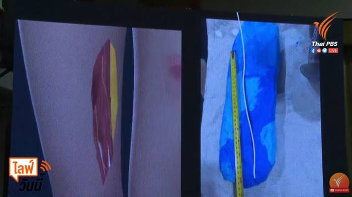 แตงโม นิดา แตงโม นิดา