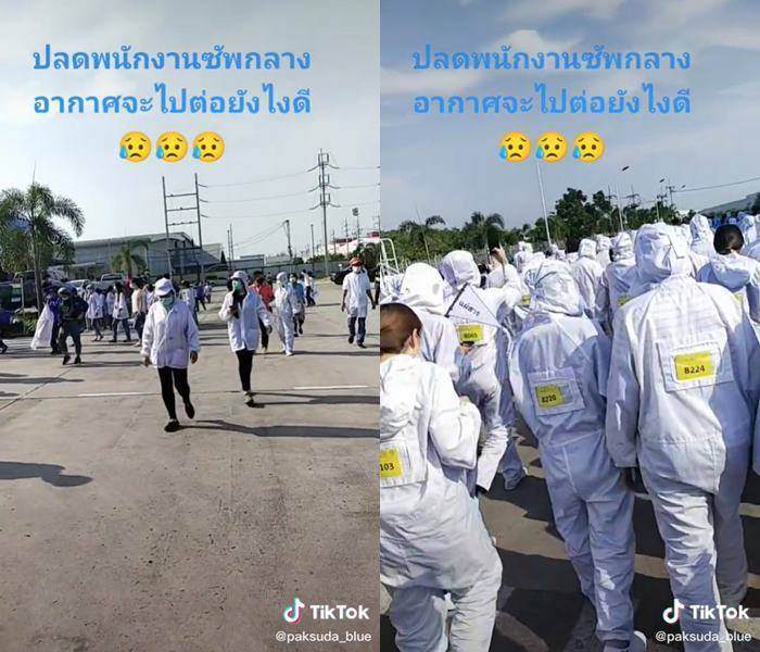 ปลดพนักงาน ปลดพนักงาน