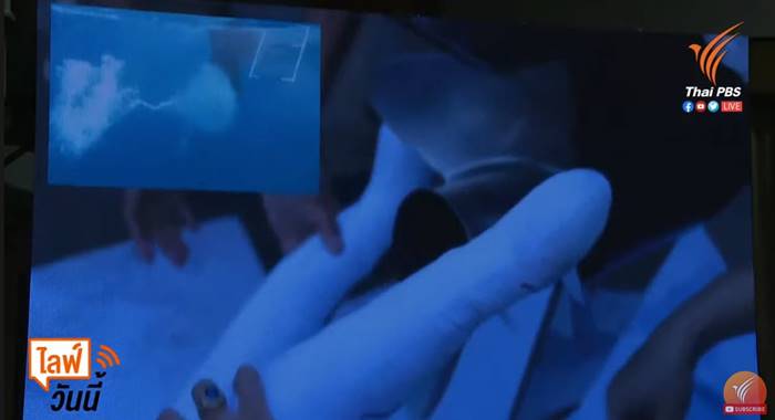 แตงโม นิดา แตงโม นิดา