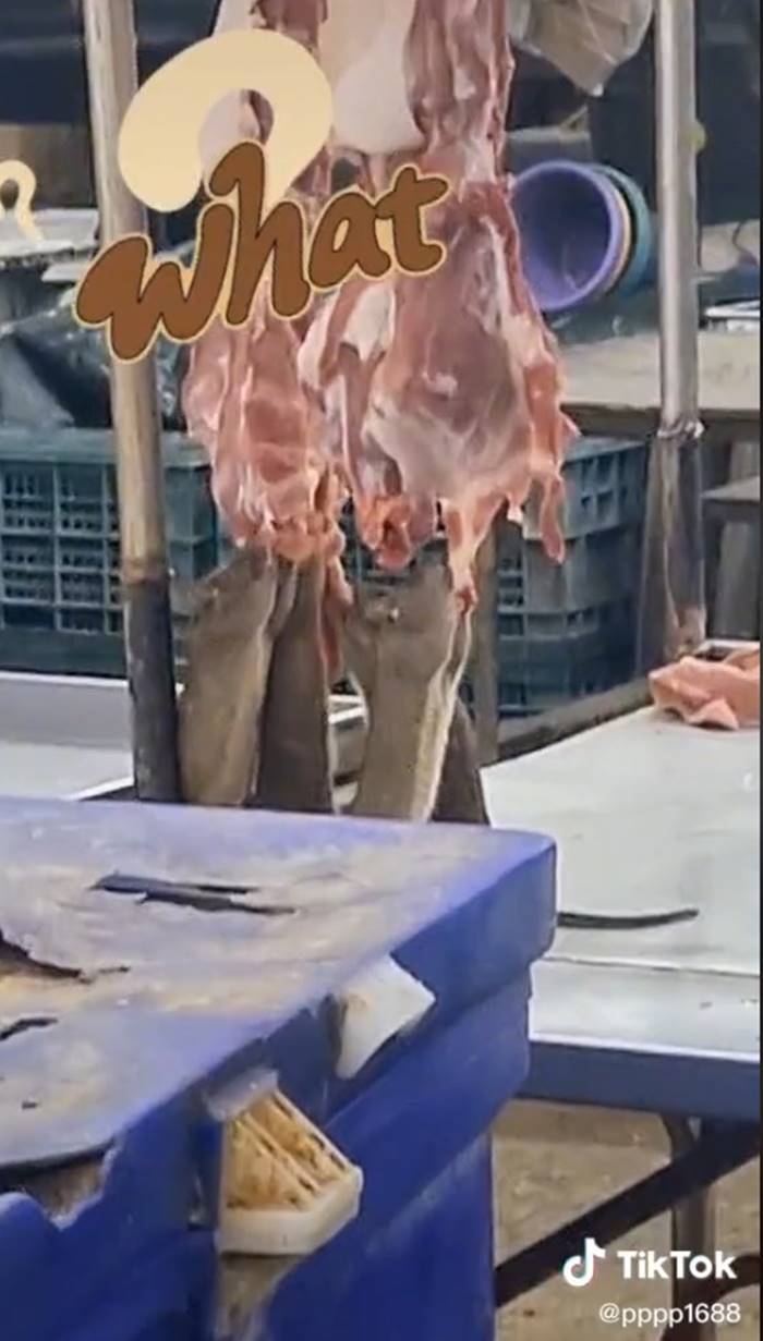 หมูสกปรก หมูสกปรก