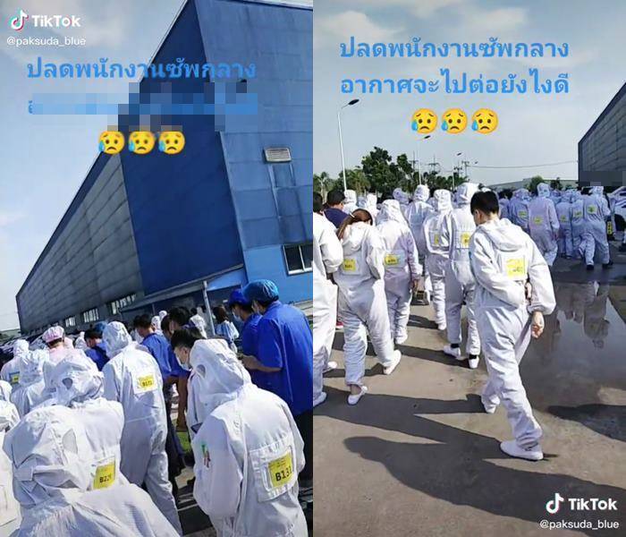 ปลดพนักงาน ปลดพนักงาน
