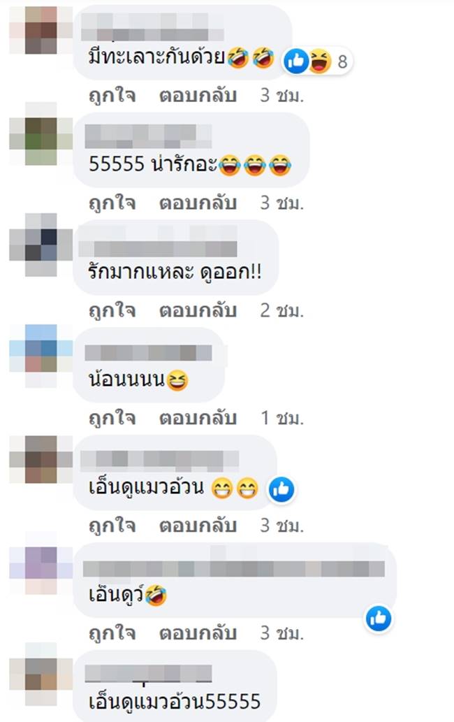 ทาสแมว ทาสแมว