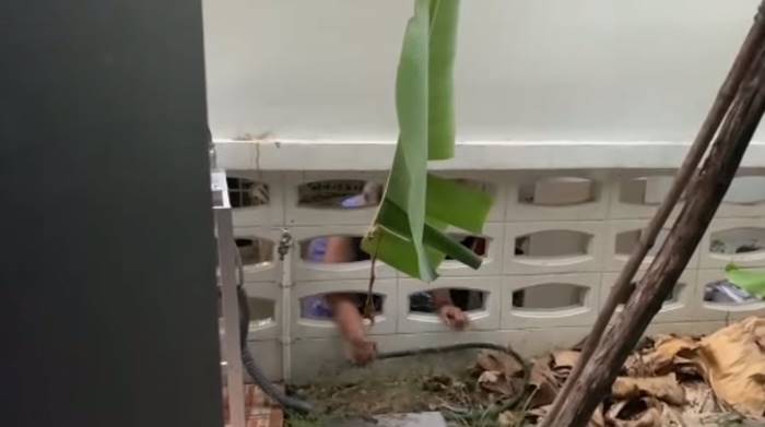 ปัญหาเพื่อนบ้าน ปัญหาเพื่อนบ้าน