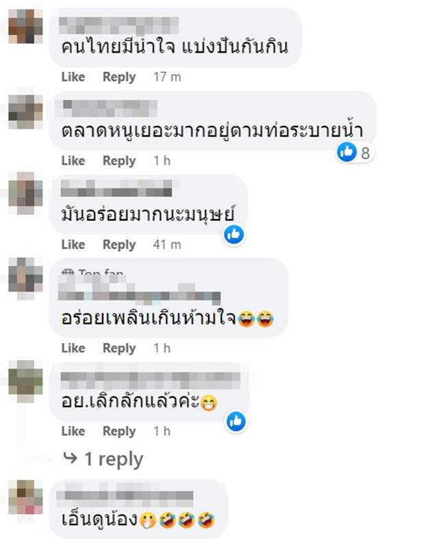 หมูสกปรก หมูสกปรก