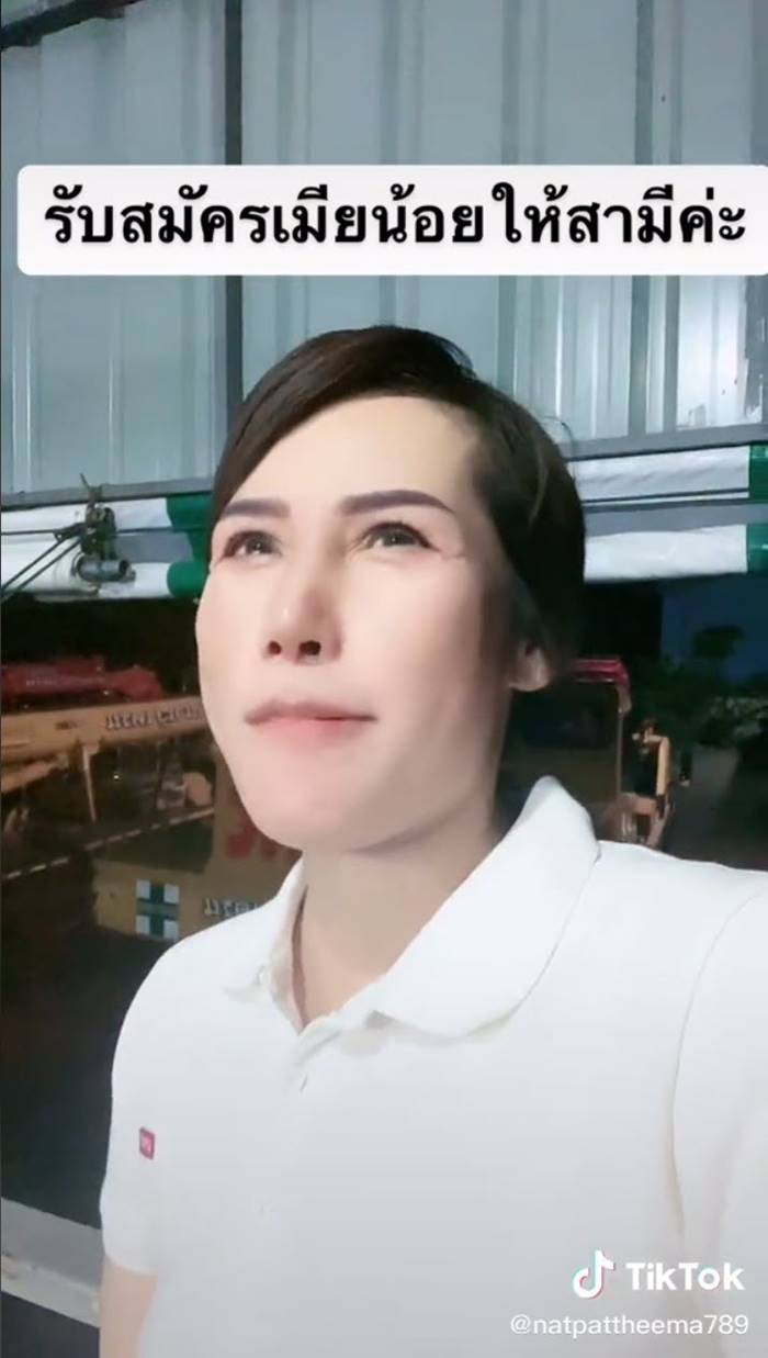 หาเมียน้อย หาเมียน้อย