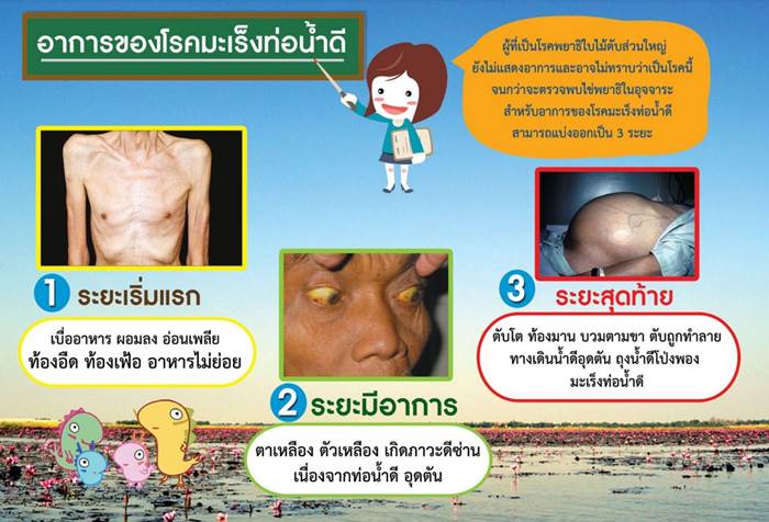 กินของดิบ กินของดิบ