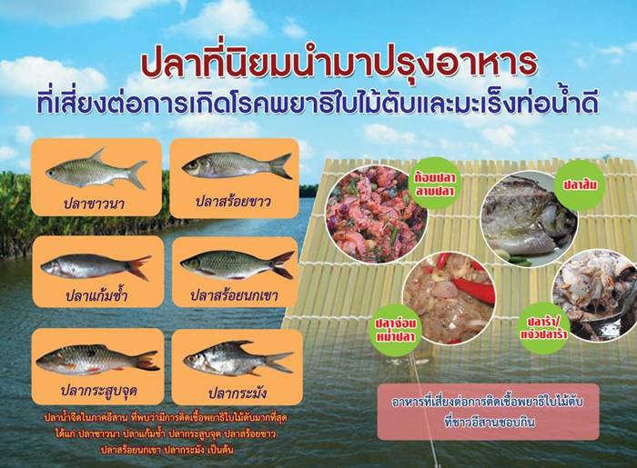 กินของดิบ กินของดิบ