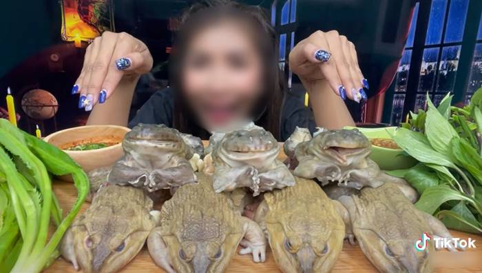 กินของดิบ กินของดิบ