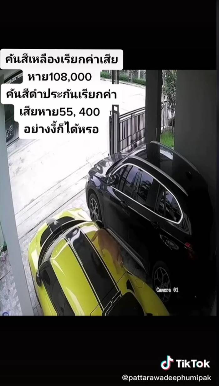 แมวไต่รถ แมวไต่รถ