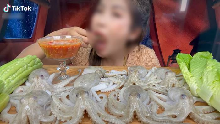 กินของดิบ กินของดิบ