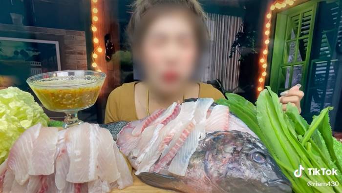 กินของดิบ กินของดิบ