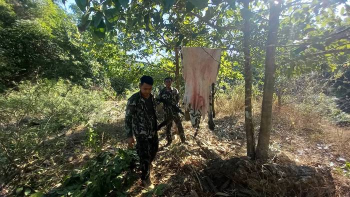 เสือโคร่ง เสือโคร่ง