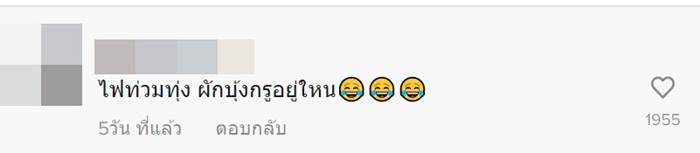 ผักบุ้งไฟแดง ผักบุ้งไฟแดง