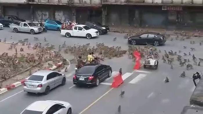 นักเรียนเตะลิง นักเรียนเตะลิง