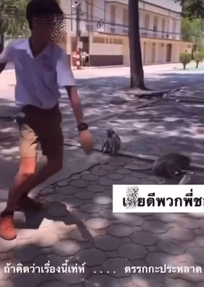 นักเรียนเตะลิง นักเรียนเตะลิง