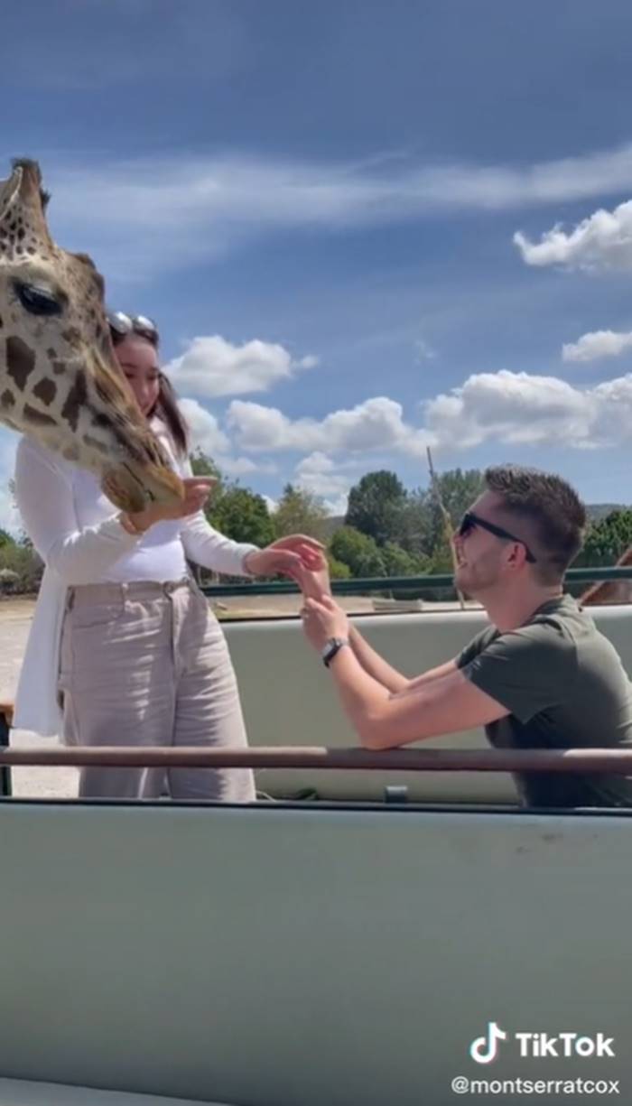 เซอร์ไพรส์ขอแต่งงาน เซอร์ไพรส์ขอแต่งงาน