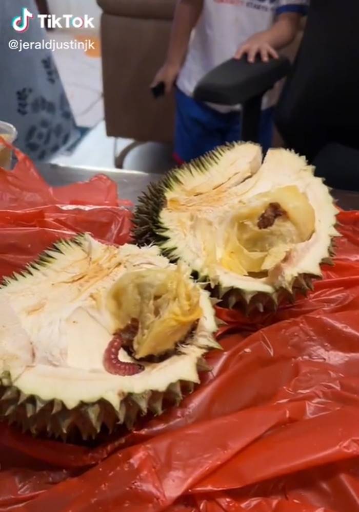 ทุเรียน ทุเรียน