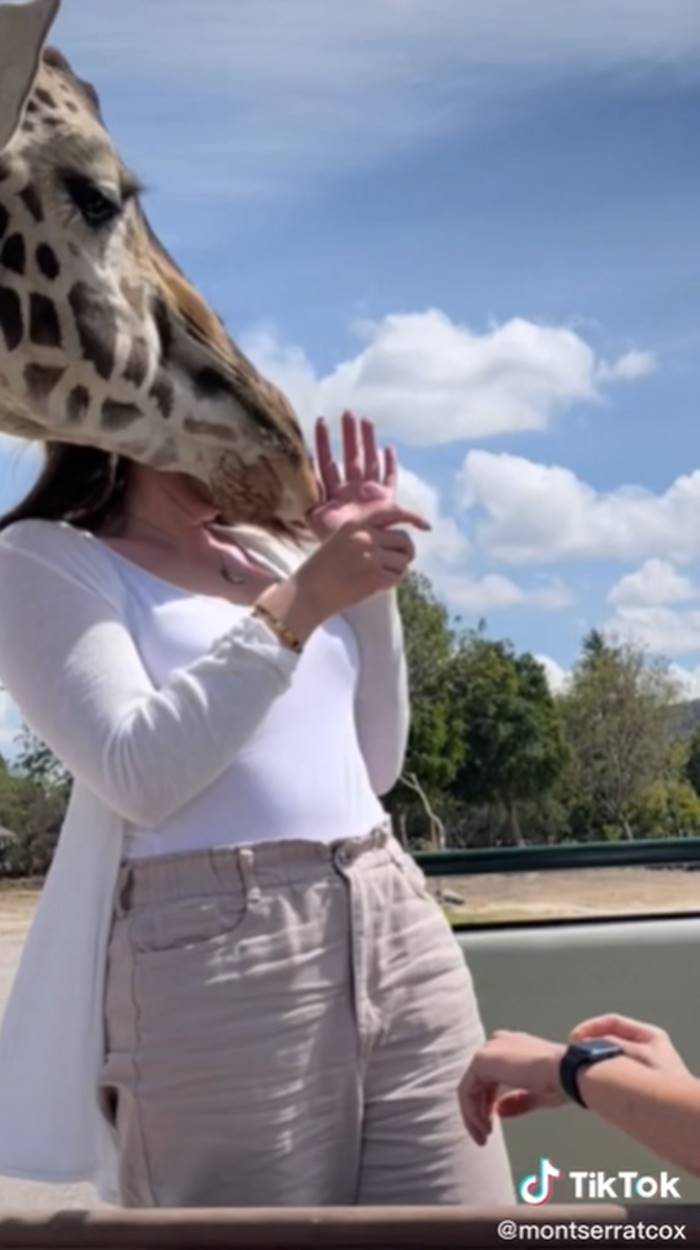 เซอร์ไพรส์ขอแต่งงาน เซอร์ไพรส์ขอแต่งงาน