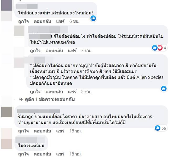 ปล่อยปลา ปล่อยปลา