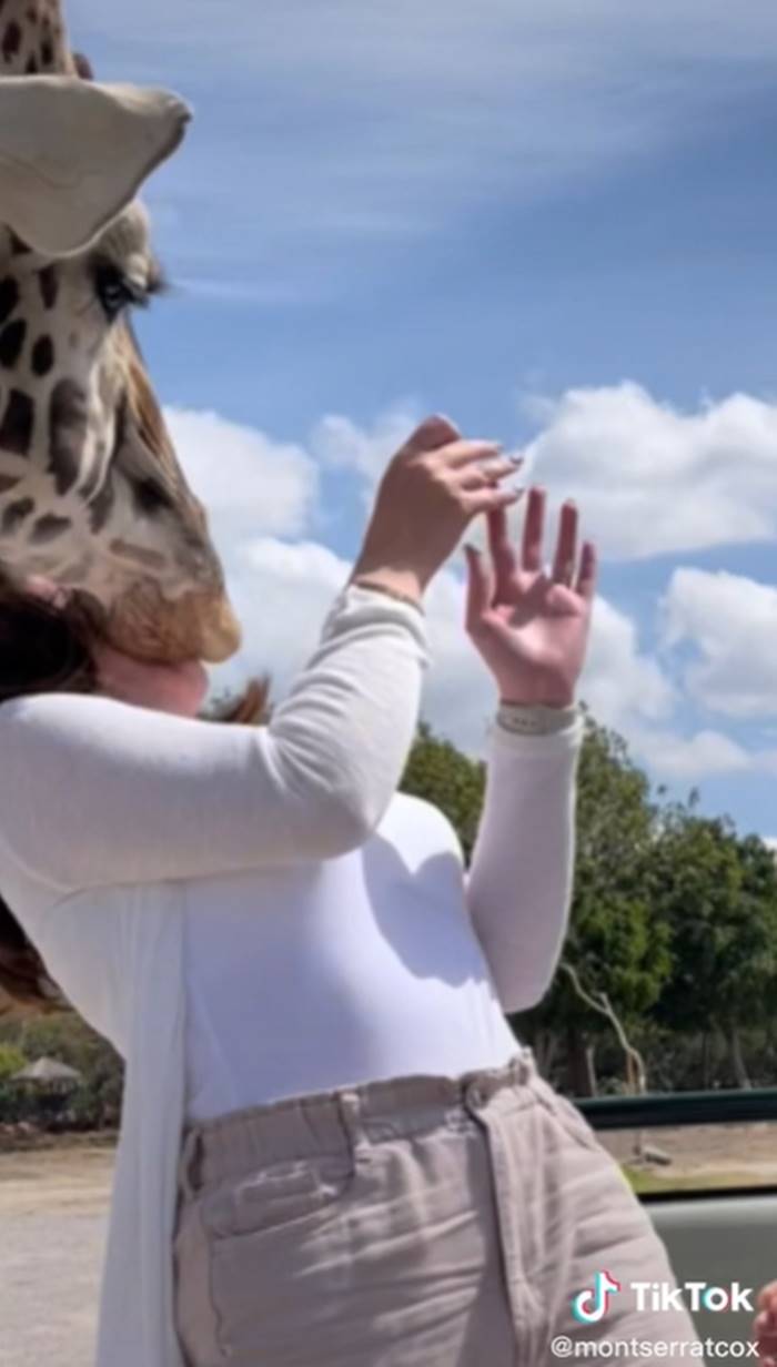 เซอร์ไพรส์ขอแต่งงาน เซอร์ไพรส์ขอแต่งงาน