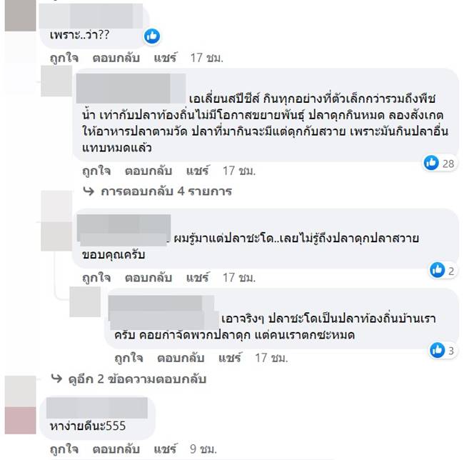 ปล่อยปลา ปล่อยปลา