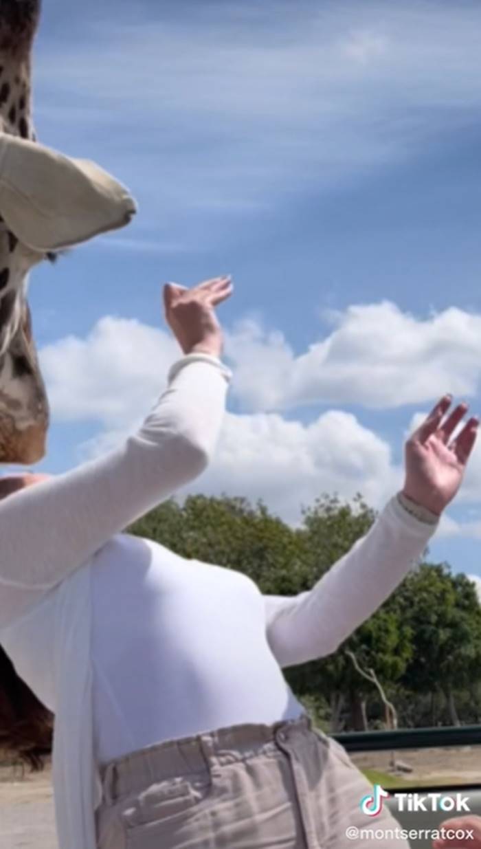 เซอร์ไพรส์ขอแต่งงาน เซอร์ไพรส์ขอแต่งงาน