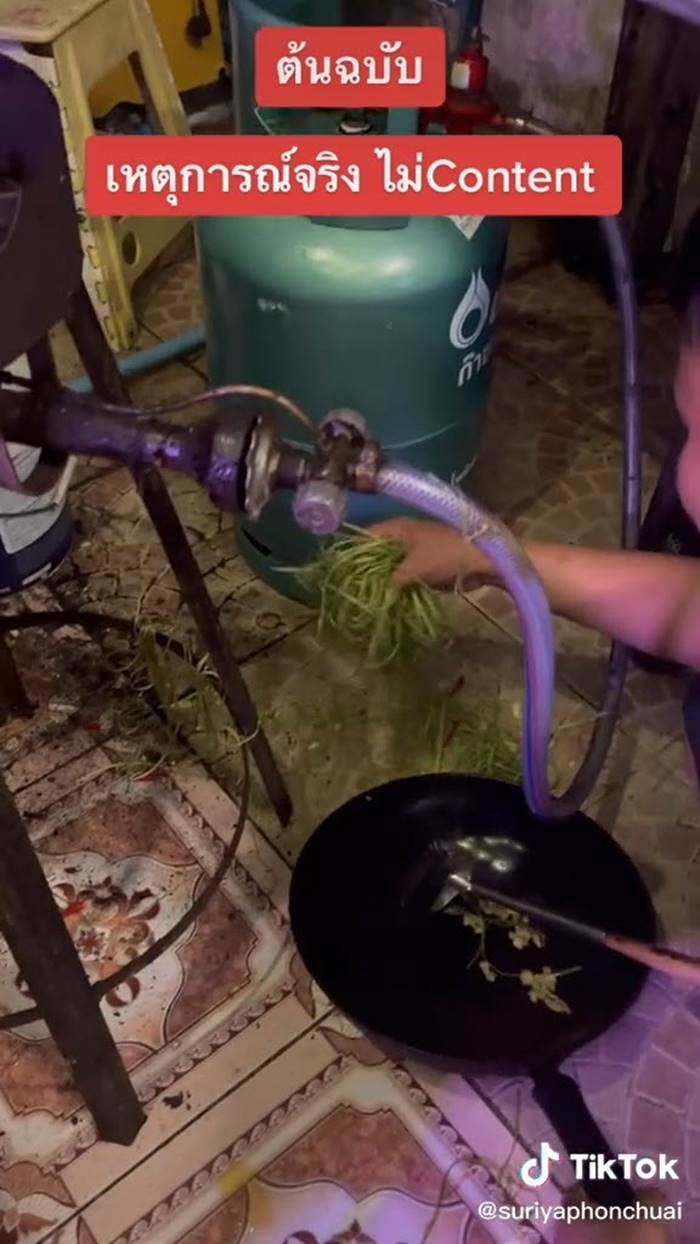 ผักบุ้งไฟแดง ผักบุ้งไฟแดง