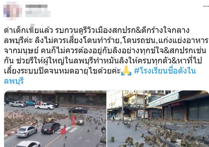 นักเรียนเตะลิง นักเรียนเตะลิง