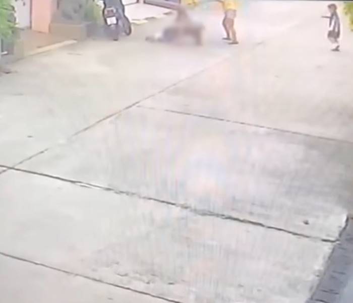 พิตบูลกัดเด็ก พิตบูลกัดเด็ก