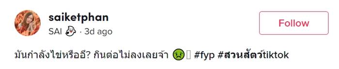 แมลงวันในอาหาร แมลงวันในอาหาร