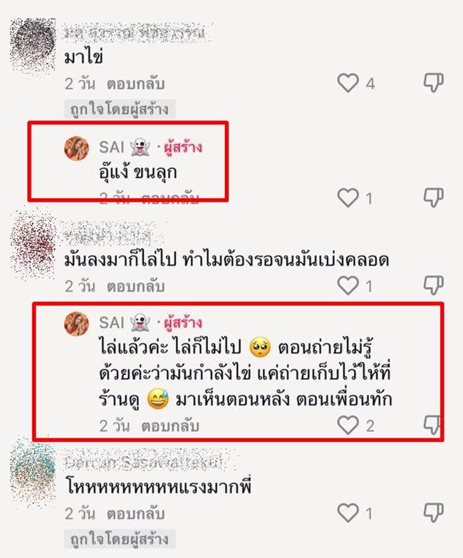 แมลงวันในอาหาร แมลงวันในอาหาร