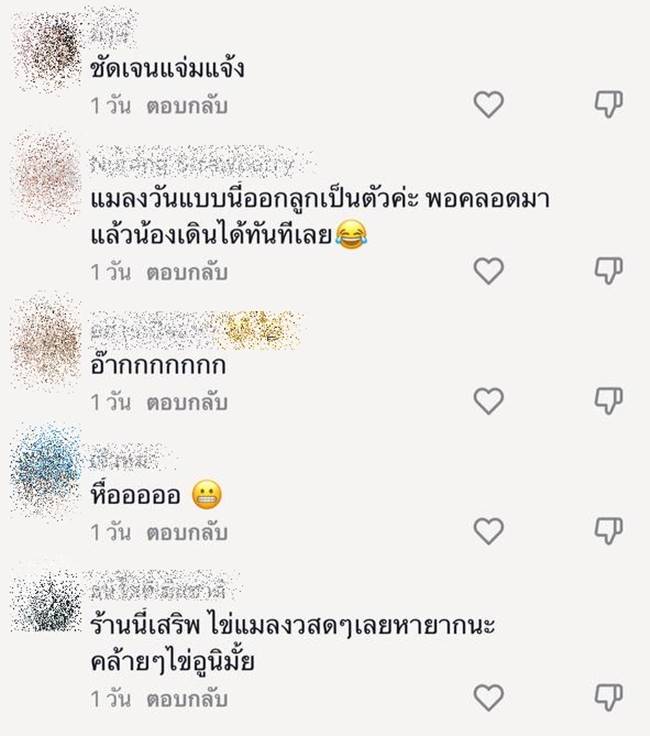 แมลงวันในอาหาร แมลงวันในอาหาร