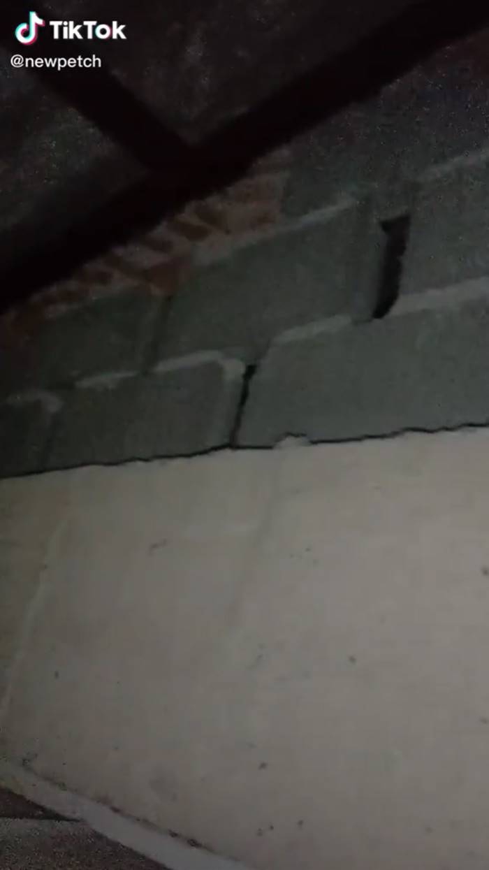 ฝ้าเพดาน ฝ้าเพดาน