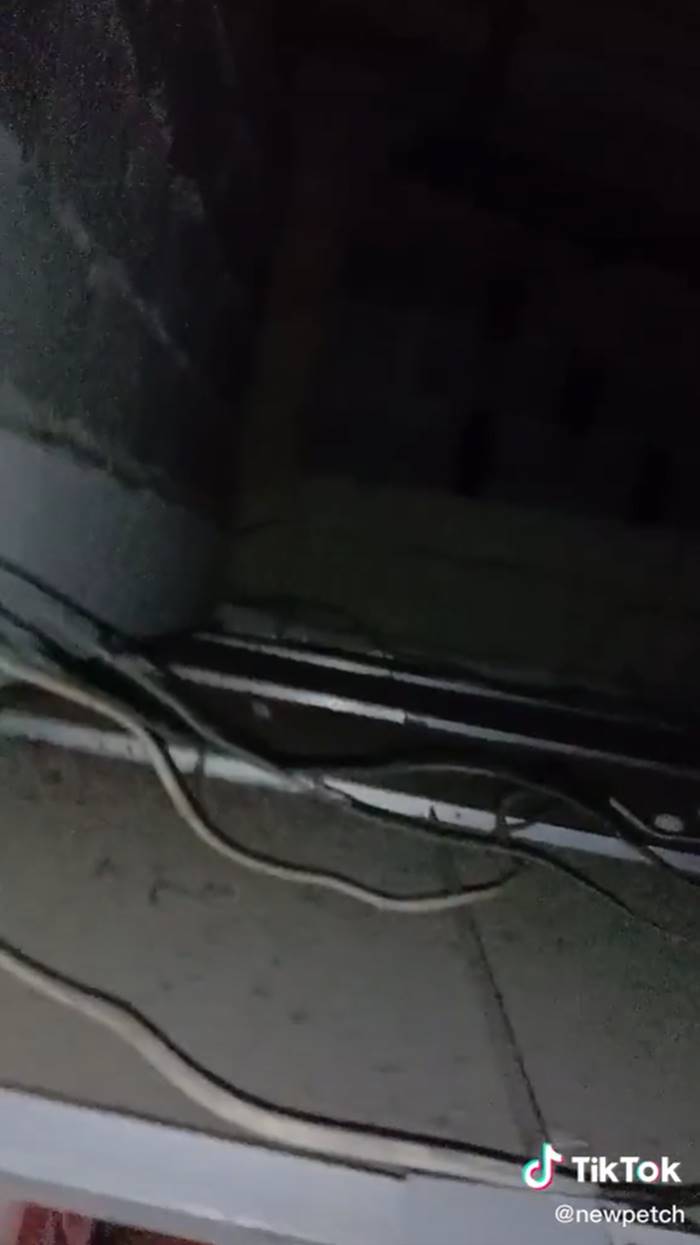 ฝ้าเพดาน ฝ้าเพดาน