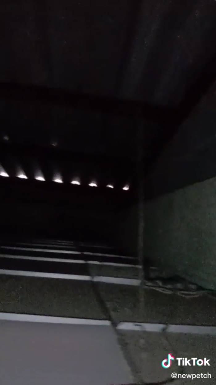 ฝ้าเพดาน ฝ้าเพดาน