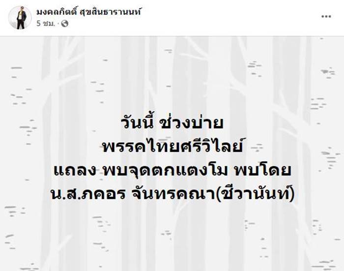 ข่าวแตงโม นิดา ข่าวแตงโม นิดา