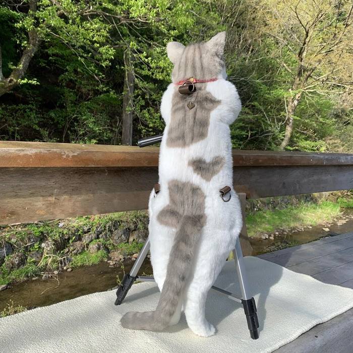 กระเป๋ารูปแมว กระเป๋ารูปแมว