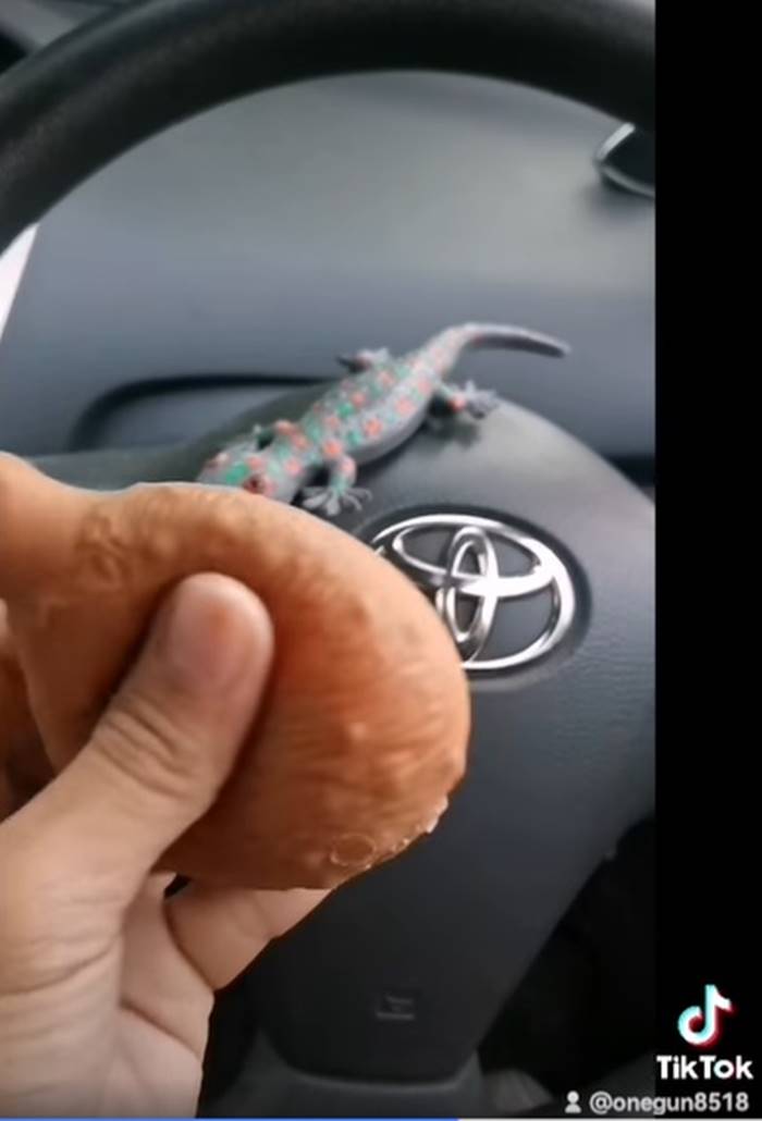 น่องไก่ น่องไก่