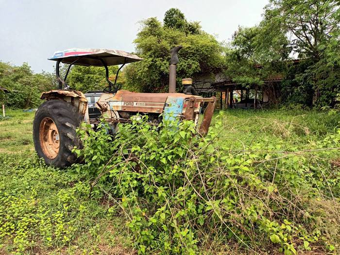 ทวี ไกรคุปต์, พ่อปารีณา ทวี ไกรคุปต์, พ่อปารีณา
