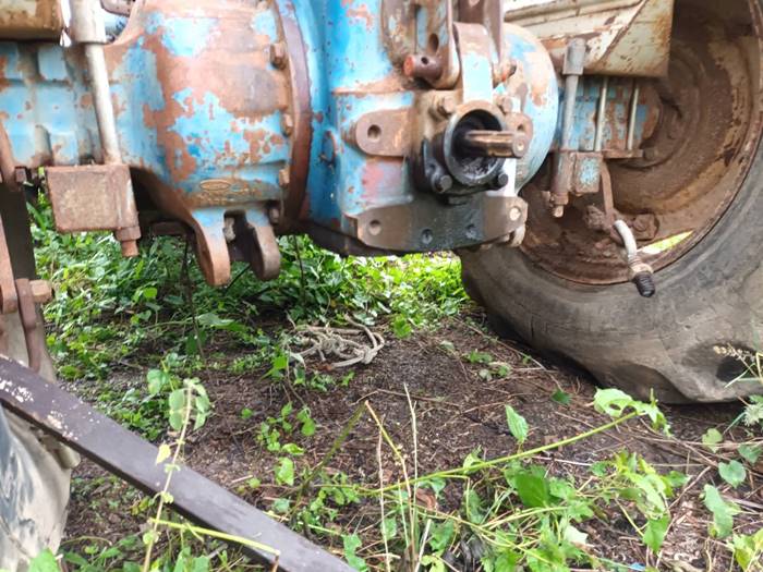 ทวี ไกรคุปต์, พ่อปารีณา ทวี ไกรคุปต์, พ่อปารีณา