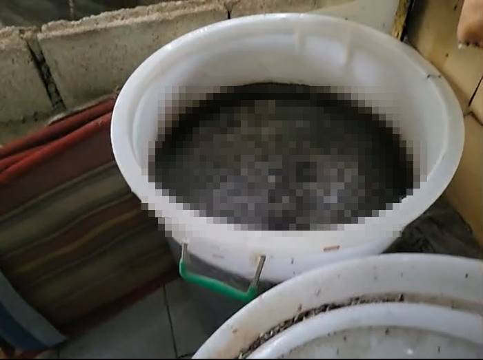 พระบิดา พระบิดา