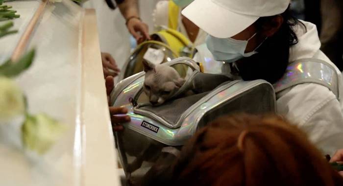 แตงโม นิดา แตงโม นิดา