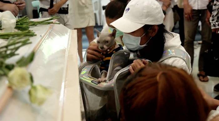 แตงโม นิดา แตงโม นิดา