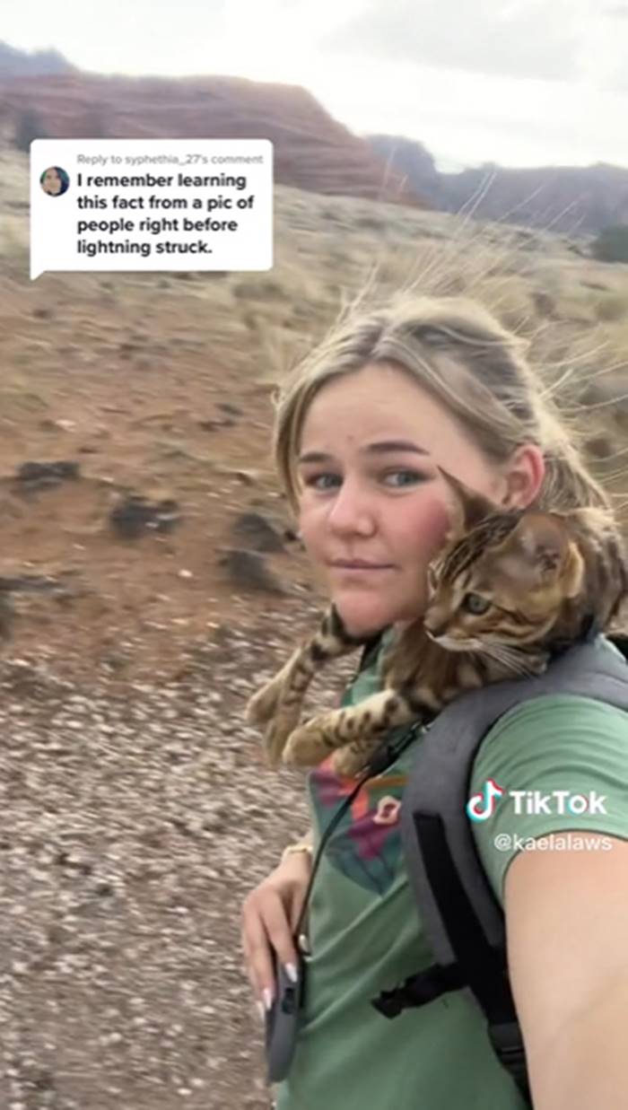 เดินป่ากับแมว เดินป่ากับแมว