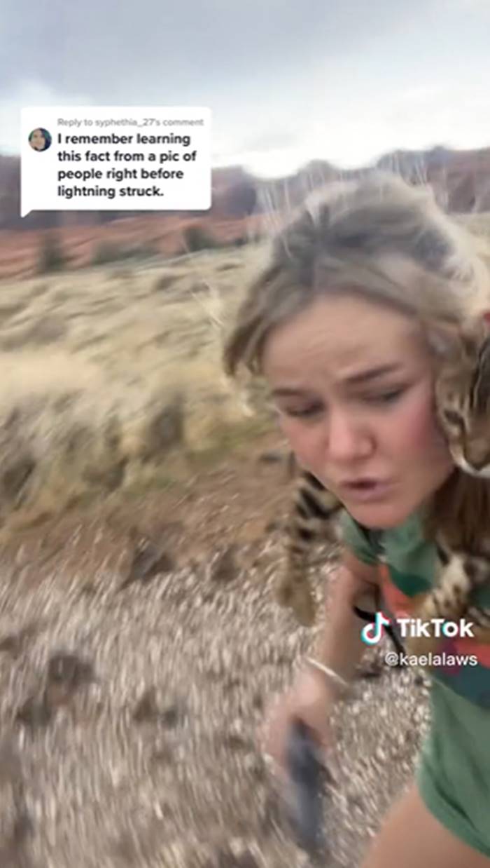 เดินป่ากับแมว เดินป่ากับแมว