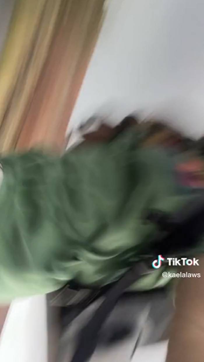 เดินป่ากับแมว เดินป่ากับแมว