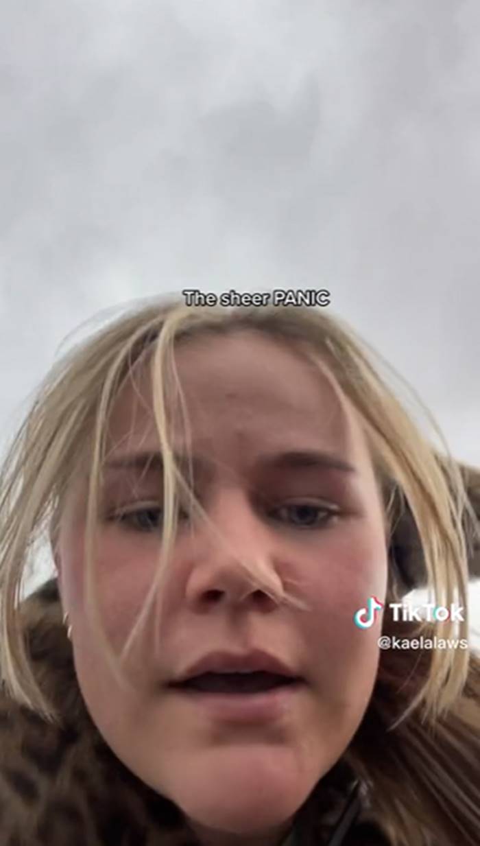 เดินป่ากับแมว เดินป่ากับแมว