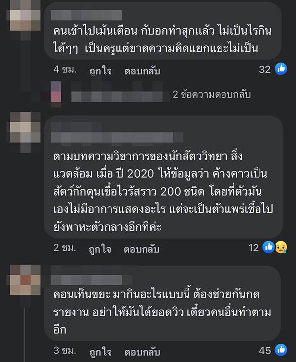 กินค้างคาว กินค้างคาว