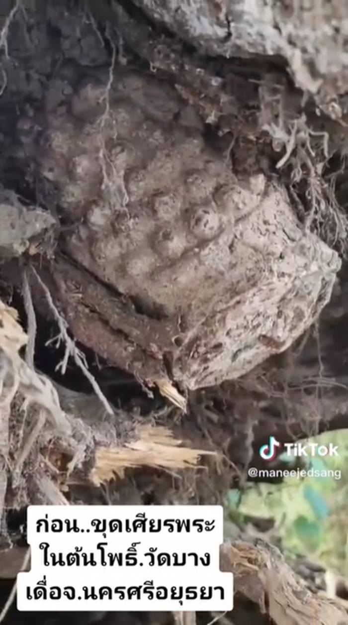 วัดบางเดื่อ อยุธยา วัดบางเดื่อ อยุธยา